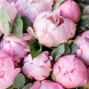 Meet your Posher, Loretta